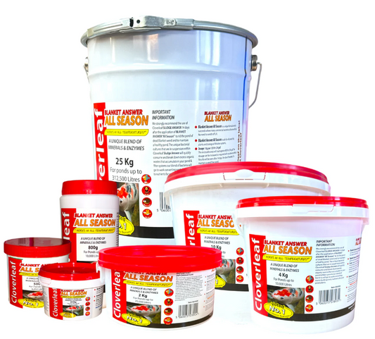 Cloverleaf Blanket Answer All Season