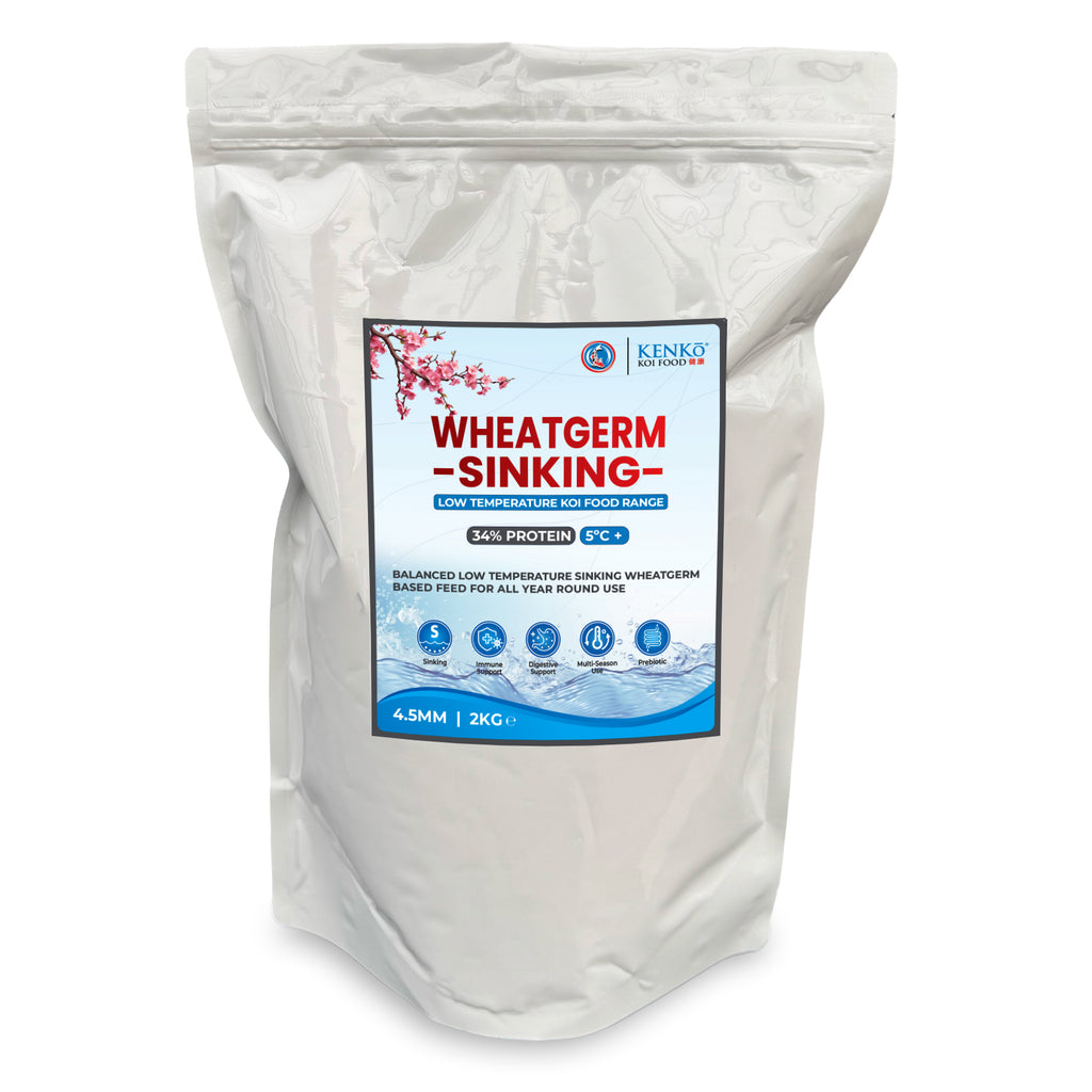 Kenko Wheatgerm Sinking Koi Food 4.5mm 2kg, 5.5kg, 9kg