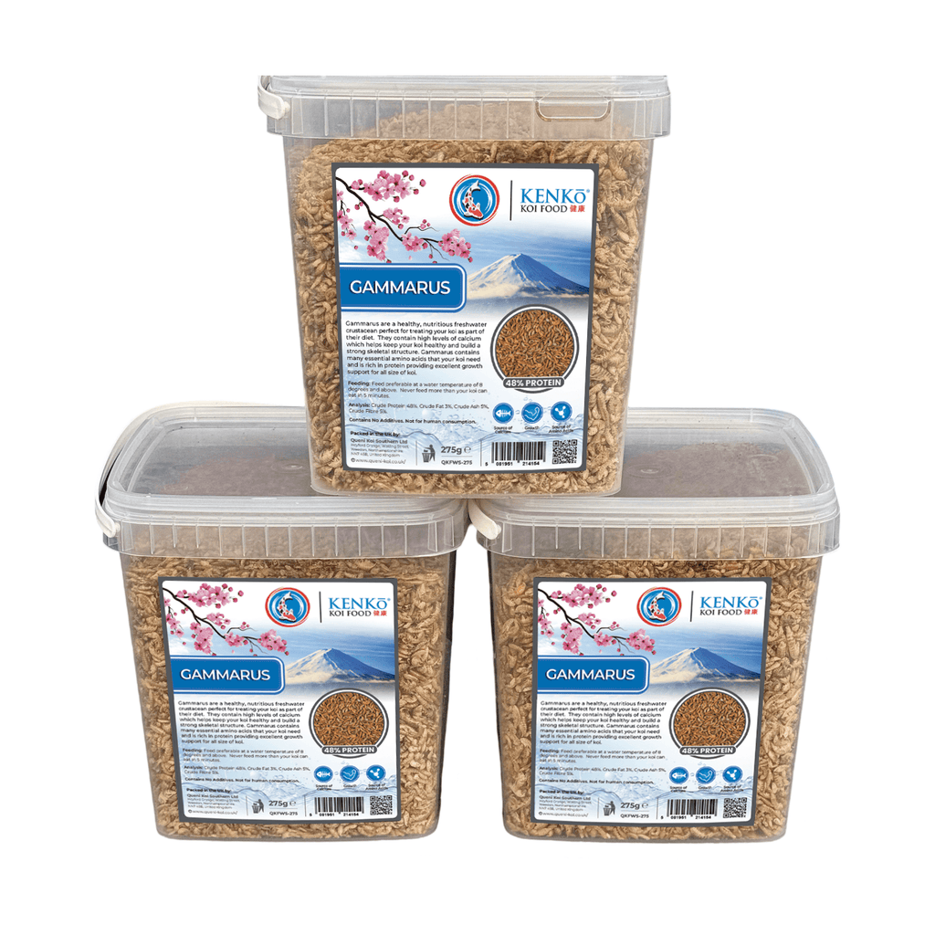 Kenko Dried Gammarus Koi Treats 550g – premium koi treats