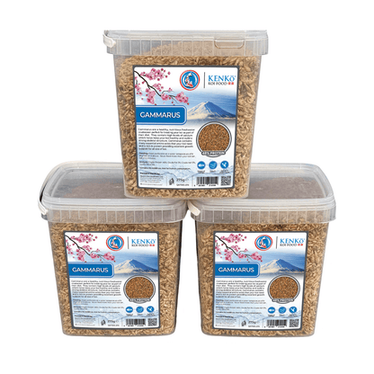 Kenko Dried Gammarus Koi Treats 550g – premium koi treats