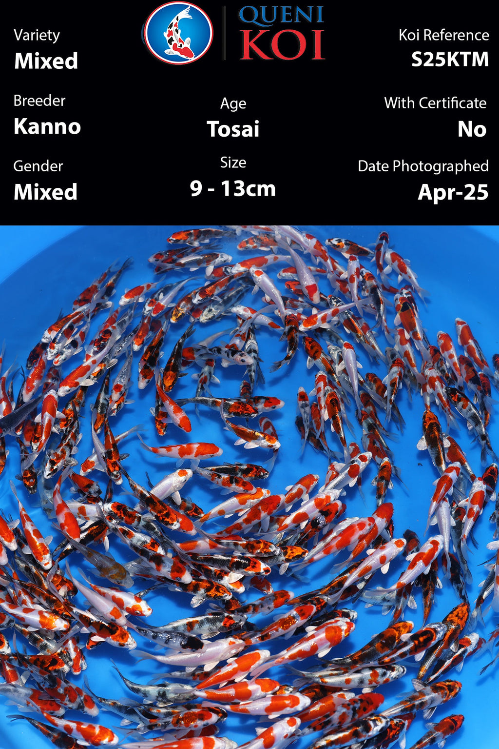 Kanno Tosai Mix - S25KTM