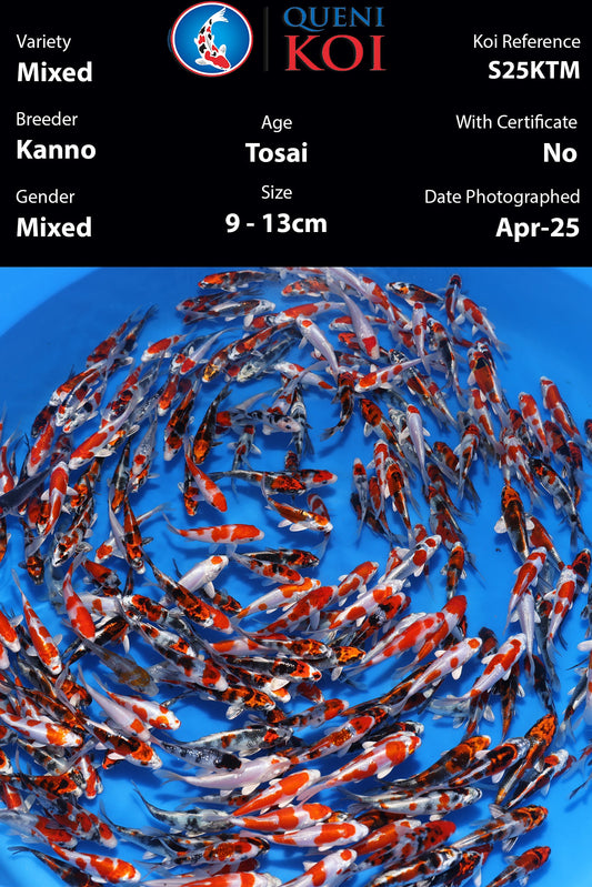 Kanno Tosai Mix - S25KTM