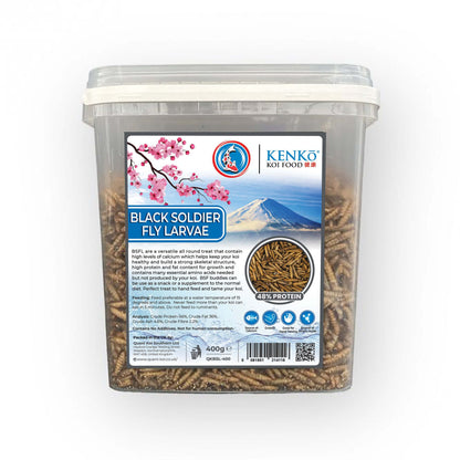 Kenko Dried Black Soldier Fly Koi Treats BSFL treats supporting koi growth, health, and skeletal structure