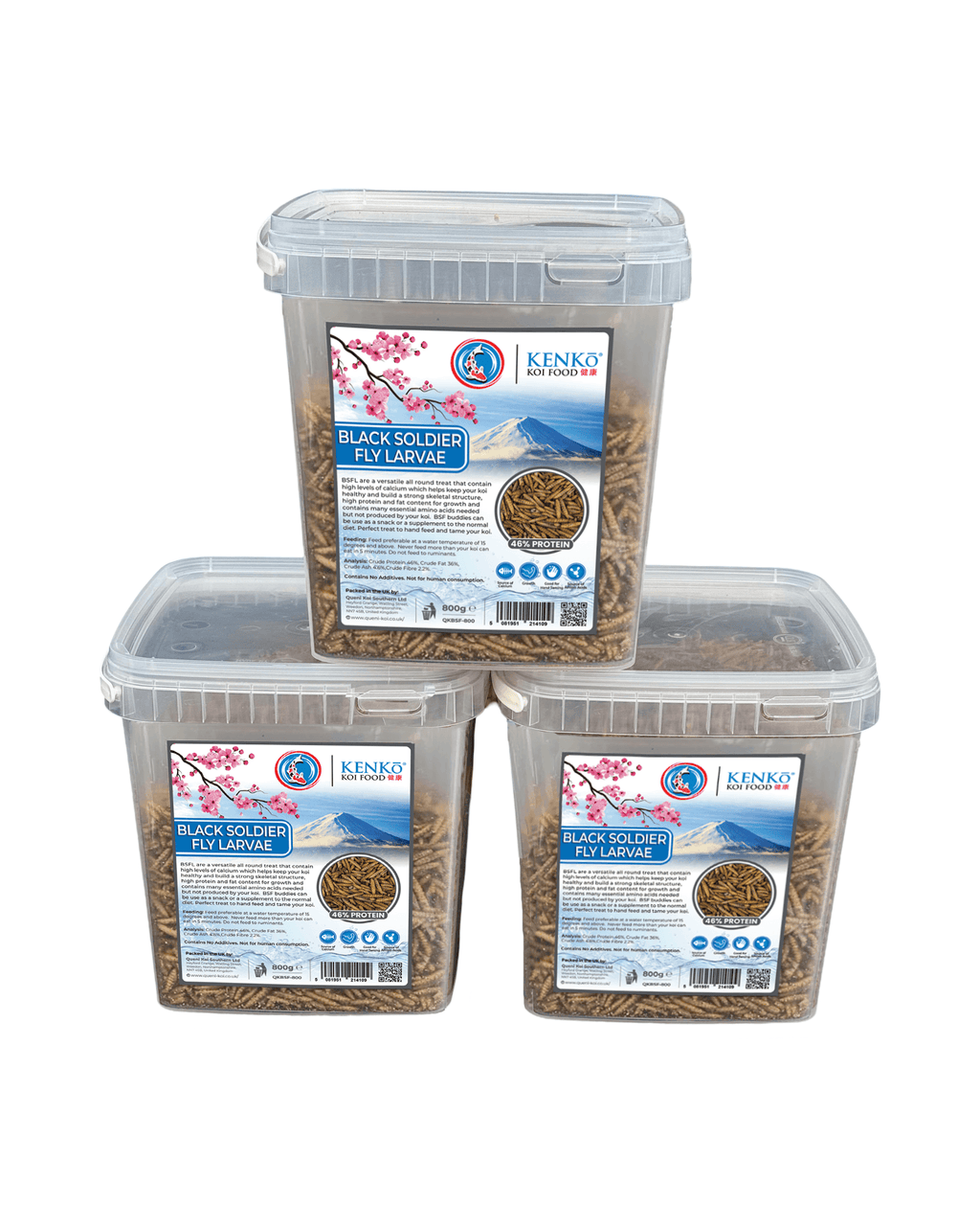 Kenko Dried Black Soldier Fly Koi Treats Koi enjoying high-protein black soldier fly treats
