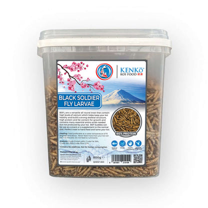 Kenko Dried Black Soldier Fly Koi Treats