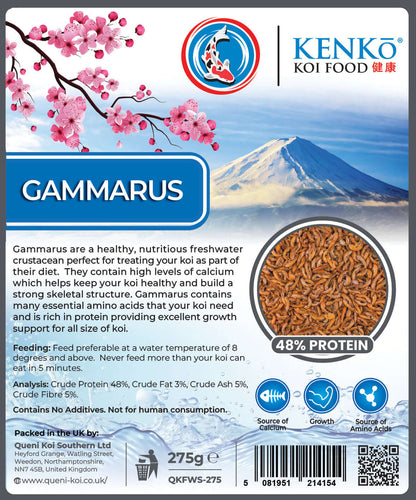 High-protein and calcium-rich natural treat for koi Kenko Dried Gammarus Koi Treats 550g – premium koi treats