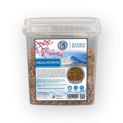 Kenko High Quality Dried Mealworms Koi Treats in a transparent container, 800g, high protein koi food.